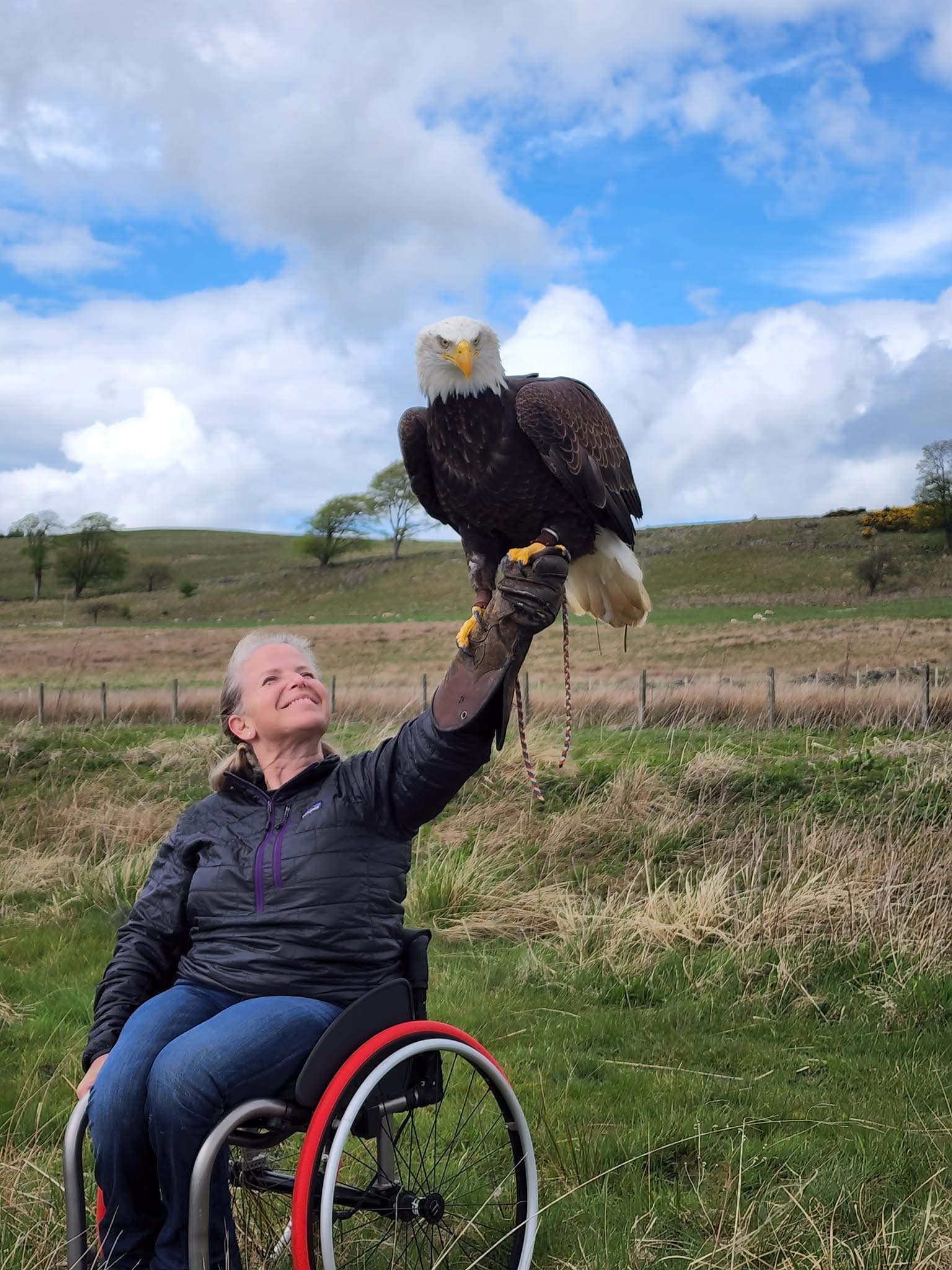 Amanda holding a bald eagle on her gloved hand while seated in her wheelchair in a grassy field.